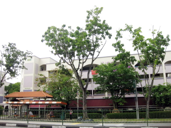 Blk 681 Hougang Avenue 8 (Hougang), HDB 3 Rooms #236162